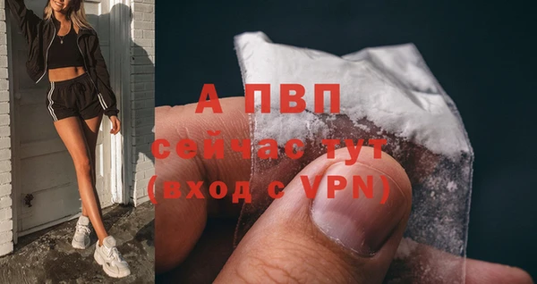 гидра Зеленокумск